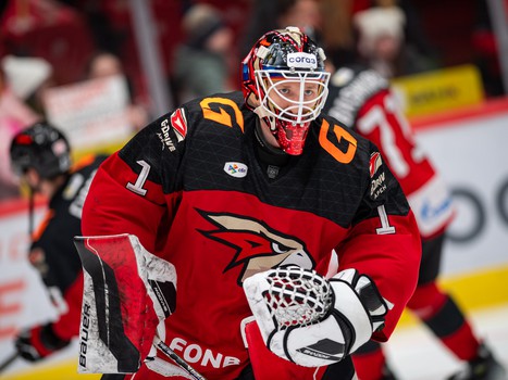 26.02.2025. «Авангард» - «Витязь» 4:3 ОТ