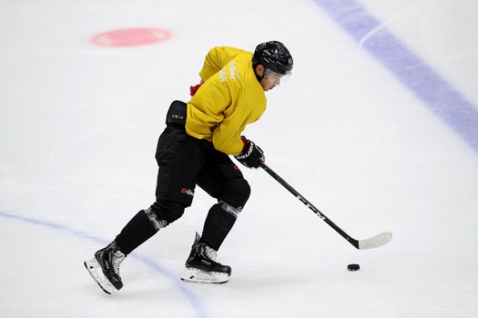 Снова на льду. «Авангард» вернулся к работе