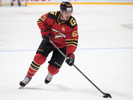 29.10.2021. «Авангард» - «Салават Юлаев» 2:1