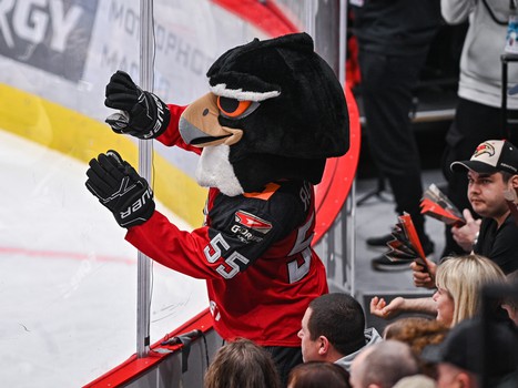 «Авангард» - «Ак Барс» 0:1. Вокруг матча