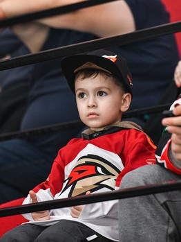 «Авангард» - «Автомобилист» 5:0. Вокруг матча