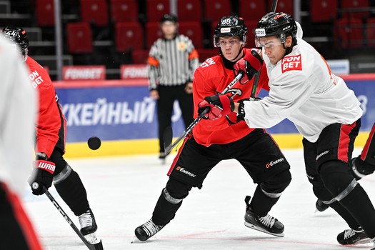 Двусторонка «Авангарда»