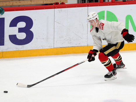 Открытая тренировка «Авангарда» перед плей-офф