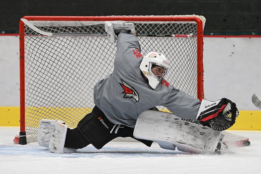 Тренировка «Авангарда»