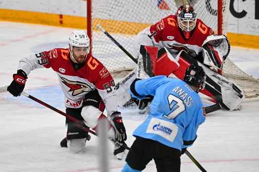 02.02.2025. «Динамо» Мн - «Авангард» 4:5 Б