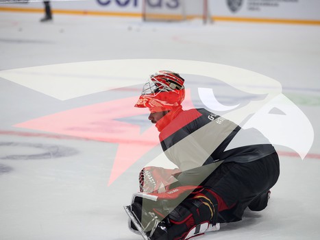 Раскатка «Авангарда» перед матчем с «Сибирью»