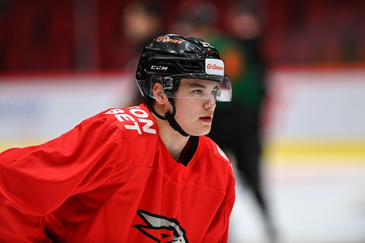 Раскатка «Авангарда» перед матчем с «Трактором»