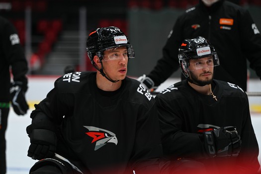 Открытая тренировка «Авангарда»