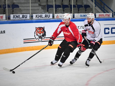 "Авангард" готовится к битве с амурскими "тиграми"