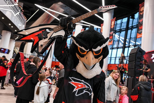 «Авангард» - «Амур» 2:1. Вокруг матча