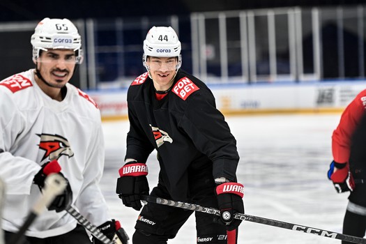 Раскатка «Авангарда» перед третьим матчем серии с «Сибирью» в Новосибирске