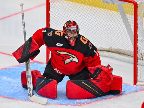 31.10.2023. «Авангард» - «Торпедо» 3:2