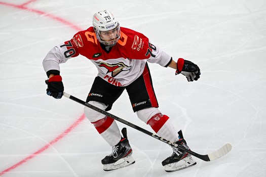 23.11.2023. «Салават Юлаев» - «Авангард» 3:1