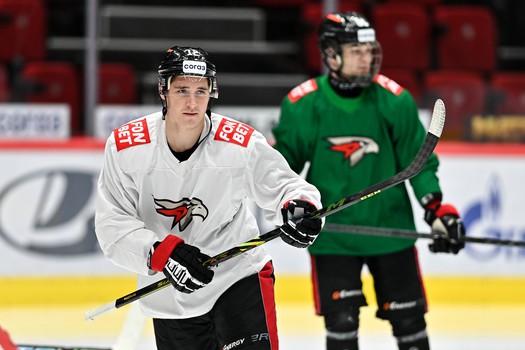 Раскатка «Авангарда» перед матчем с «Салаватом Юлаевым»