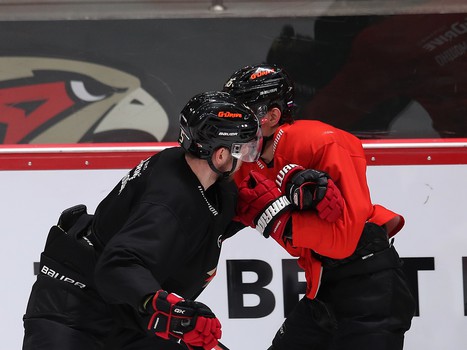 Раскатка «Авангарда» перед матчем с «Сибирью»