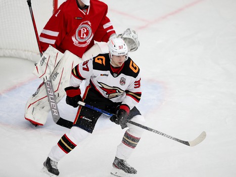 13.12.2020. «Витязь» - «Авангард» 4:3