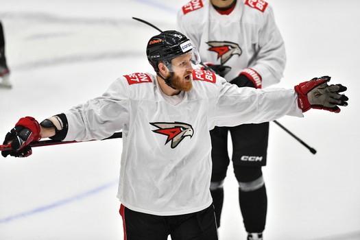 Двусторонний матч «Авангарда»