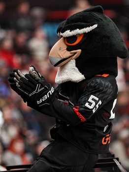 «Авангард» - «Драконы» 6:1. Вокруг матча