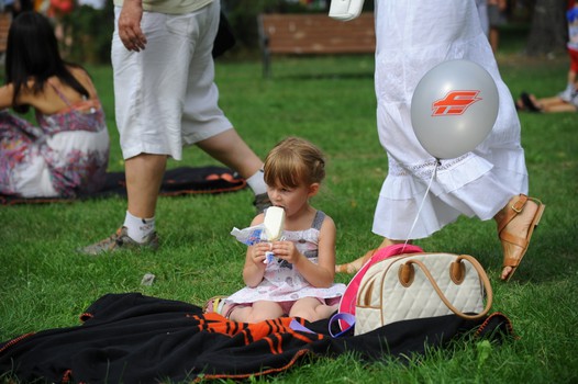 Пикник "Авангарда". Часть первая