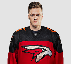 Rashevsky Dmitry