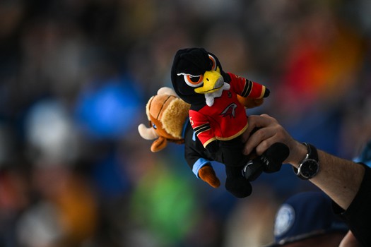 02.02.2025. «Динамо» Мн - «Авангард» 4:5 Б