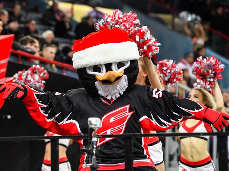 21.12.2016. "Авангард" - "Динамо" Р 9:3