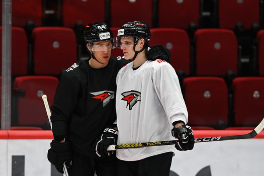 Раскатка «Авангарда» перед матчем с «Салаватом Юлаевым»