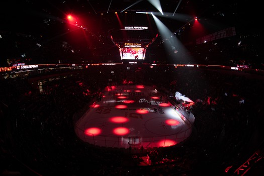 «Авангард» - «Адмирал» 6:1. Вокруг матча