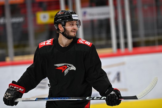 Раскатка «Авангарда» перед матчем с «Автомобилистом»