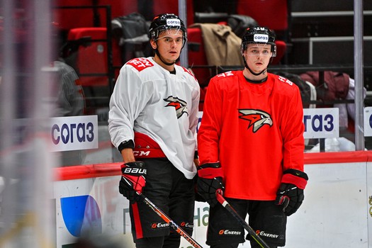 Раскатка «Авангарда» перед матчем с «Металлургом»