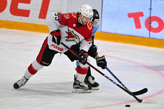 02.02.2025. «Динамо» Мн - «Авангард» 4:5 Б