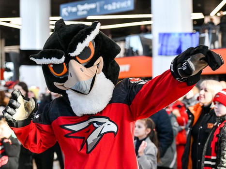 «Авангард» - «Металлург» 3:0. Вокруг матча