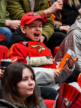 «Авангард» - «Металлург» 3:2. Вокруг матча