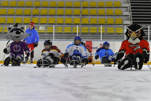 Турнир по следж-хоккею в Омске, день 2
