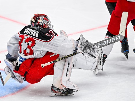 29.11.2023. «Авангард» - «Витязь» 4:1