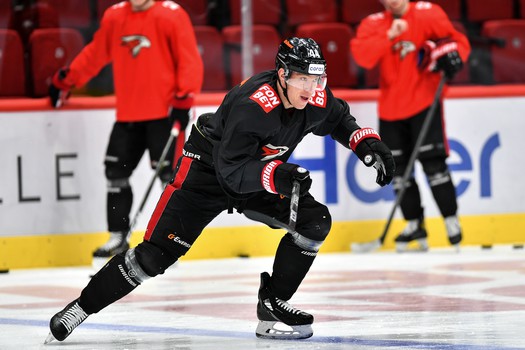 Раскатка «Авангарда» перед матчем с «Нефтехимиком»