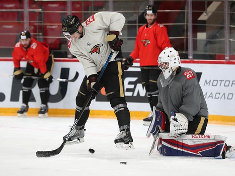 Раскатка «Авангарда» перед матчем с «Амуром»