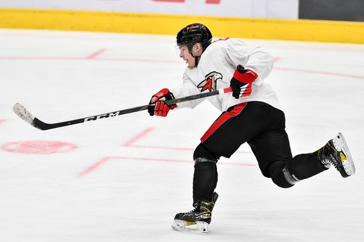 Раскатка «Авангарда» перед матчем с «Ак Барсом»