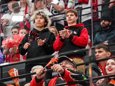 «Авангард» - «Металлург» 3:0. Вокруг матча