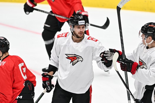 Двусторонка «Авангарда»