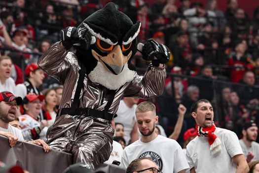 «Авангард» - «Нефтехимик» 4:2. Вокруг матча