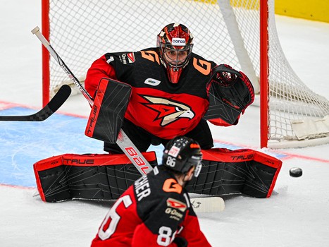 06.02.2024. «Авангард» - СКА 9:5