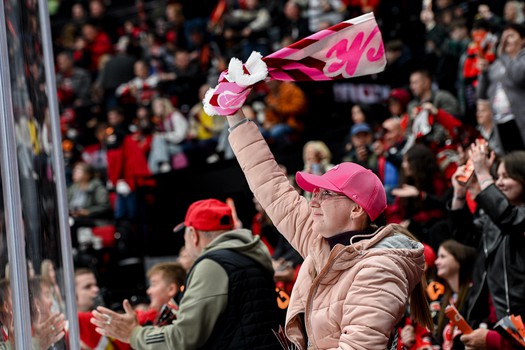 «Авангард» - «Динамо» Мск 7:4. Вокруг матча