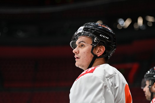 Раскатка «Авангарда» перед матчем с «Барысом»