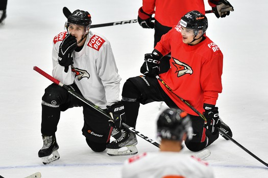 Двусторонний матч «Авангарда»