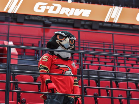 Совет директоров «Авангарда» и тестовый матч на G-Drive Арене