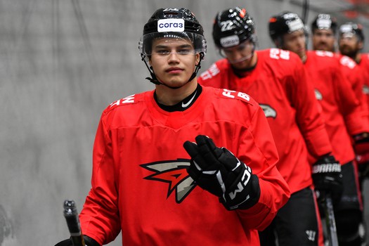 Двусторонний матч «Авангарда»