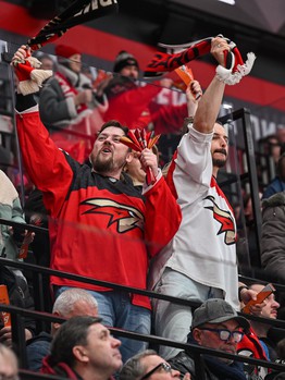 «Авангард» - «Салават Юлаев» 2:4. Вокруг матча