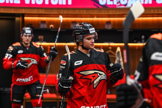 29.11.2023. «Авангард» - «Витязь» 4:1