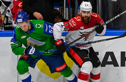 День игры: 20 января, 20:00 (омск.вр.) «Салават Юлаев» - «Авангард»